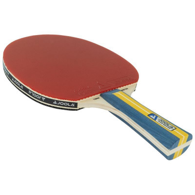 Набір для настільного тенісу Joola Team Master Pro 2 Bats 3 Balls (52001-1) 931833