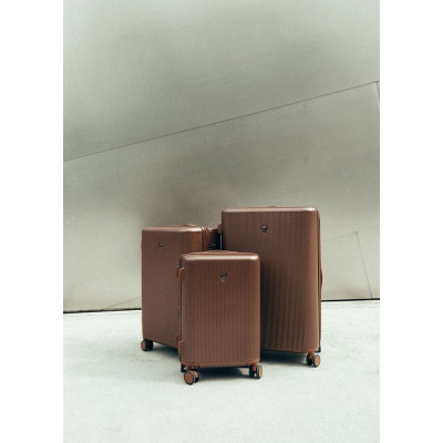Валіза Heys Earth Tones (M) Umber (10156-0146-26) (930381)