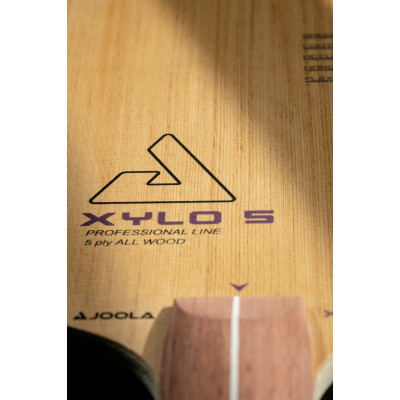 Основа для ракетки Joola XYLO 5 FL (65080) 931082
