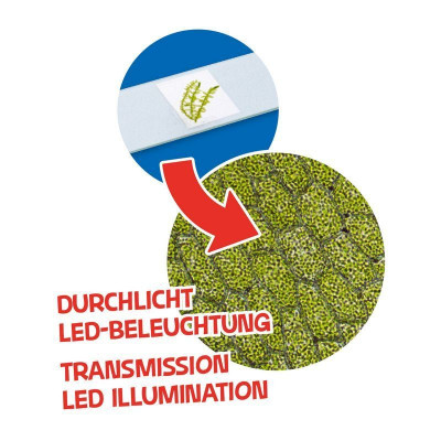 Мікроскоп Bresser Junior 40x-640x Orange (8851301) (926812)