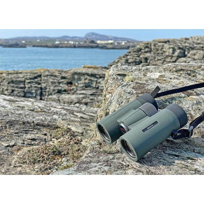 Бінокль Kowa BD II 10x32 XD (11897) 927701 Бінокль Kowa BD II 10x32 XD (11897) 927701