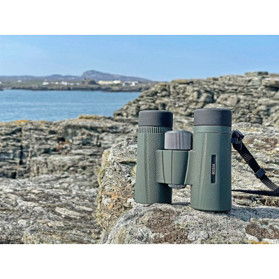 Бінокль Kowa BD II 10x32 XD (11897) 927701 Бінокль Kowa BD II 10x32 XD (11897) 927701