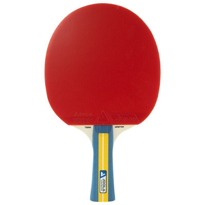 Набір для настільного тенісу Joola Team Master Pro 2 Bats 3 Balls (52001-1) (931833)