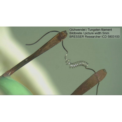 Мікроскоп Bresser Researcher ICD LED 20x-80x (5803100) 908585 Мікроскоп Bresser Researcher ICD LED 20x-80x (5803100) 908585