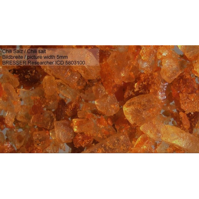 Мікроскоп Bresser Researcher ICD LED 20x-80x (5803100) 908585 Мікроскоп Bresser Researcher ICD LED 20x-80x (5803100) 908585