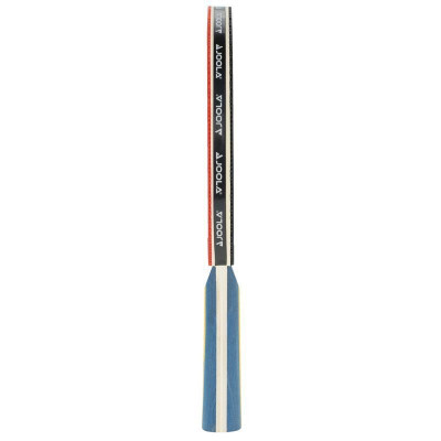 Набір для настільного тенісу Joola Team Master Pro 2 Bats 3 Balls (52001-1) (931833)