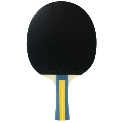 Набір для настільного тенісу Joola Team Master Pro 2 Bats 3 Balls (52001-1) (931833)
