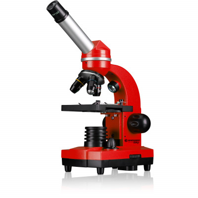 Мікроскоп Bresser Junior Biolux SEL 40x-1600x Red з адаптером для смартфона (8855600E8G000) (927061)