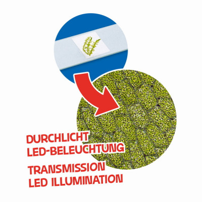 Мікроскоп Bresser Junior 40x-640x Purple з набором для дослідів і адаптером для смартфона (8851300GSF000) (923893) Мікроскоп Bresser Junior 40x-640x Purple з набором для дослідів і адаптером для смартфона (8851300GSF000) (923893)