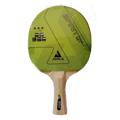 Набір для настільного тенісу Joola Family 4 Bats 10 Balls (54810) (930797)