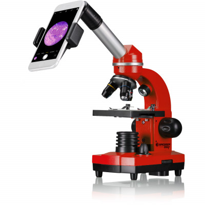 Мікроскоп Bresser Junior Biolux SEL 40x-1600x Red з адаптером для смартфона (8855600E8G000) (927061)