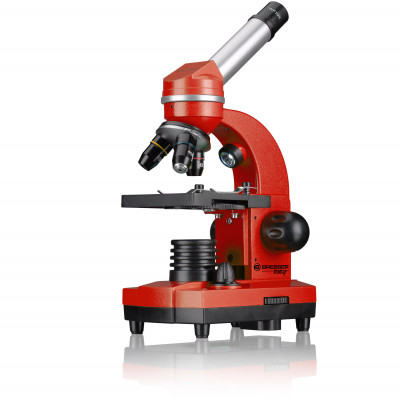 Мікроскоп Bresser Junior Biolux SEL 40x-1600x Red з адаптером для смартфона (8855600E8G000) (927061)