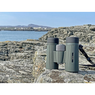 Бінокль Kowa BD II 6.5x32 XD (11895) 927699