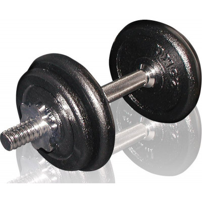 Гантель збірна Toorx 10 кг з кейсом (VAL-10DGN) 931418