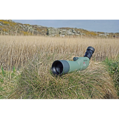 Підзорна труба Kowa TSN-601 60 mm Angled (10016) (925846)