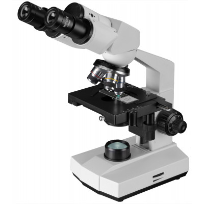 Мікроскоп Bresser Erudit Basic Bino 40x-400x з адаптером для смартфона (5102200) (922746)