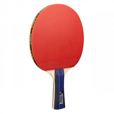 Набір для настільного тенісу Joola Family Advanced 4 Bats 6 Balls (54823) 930800