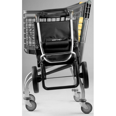 Сумка-візок Rolser Eco Pep 2 LRSG (PEP025-1041) (931971)