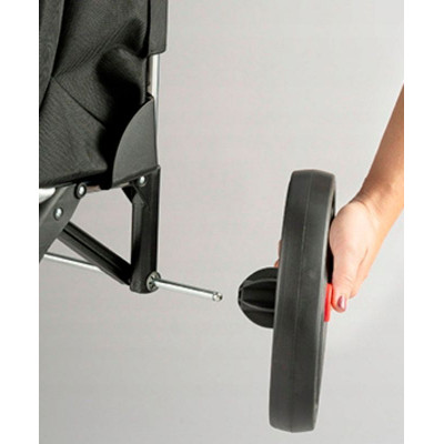 Сумка-візок Rolser Eco Pep 2 LRSG (PEP025-1041) (931971)